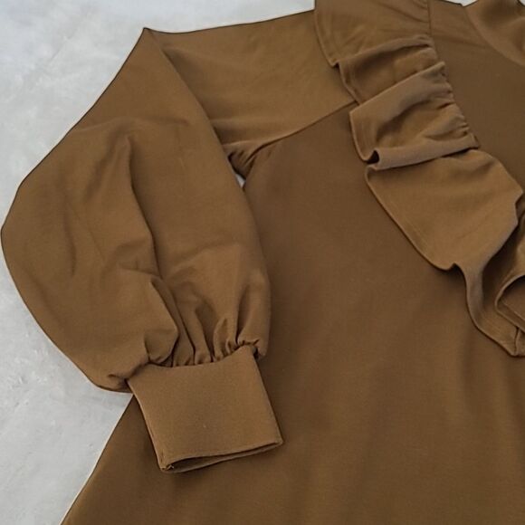 Who What Wear Women's Small Shirt Dress Brown Ruffle Long Sleeve Mock Neck Boho - Picture 5 of 16
